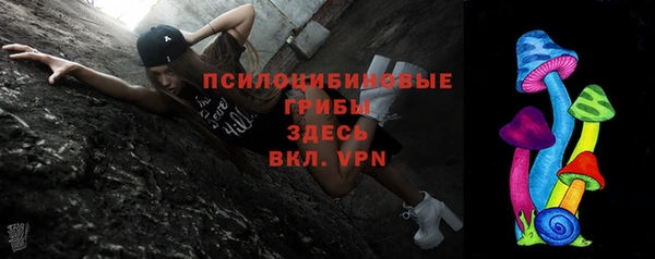 дживик Богданович