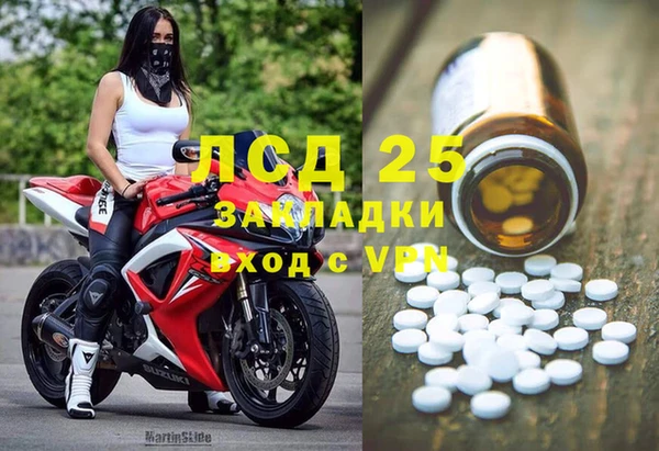 дживик Богданович